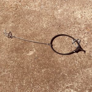 Spring for Poles | Replacement